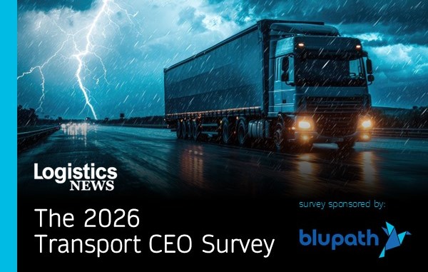 CEO Survey